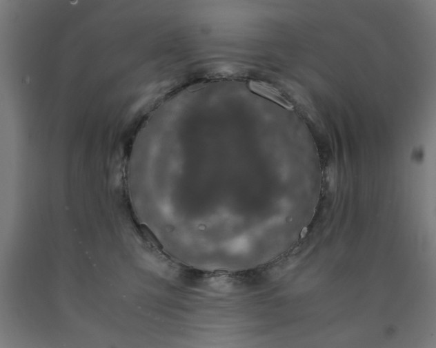 X0000090620423200707311248