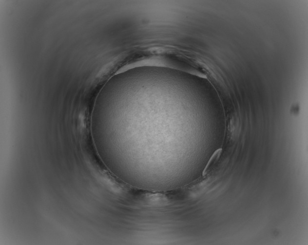 X0000090620424200707311248