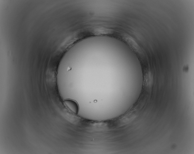 X0000090620426200707311248