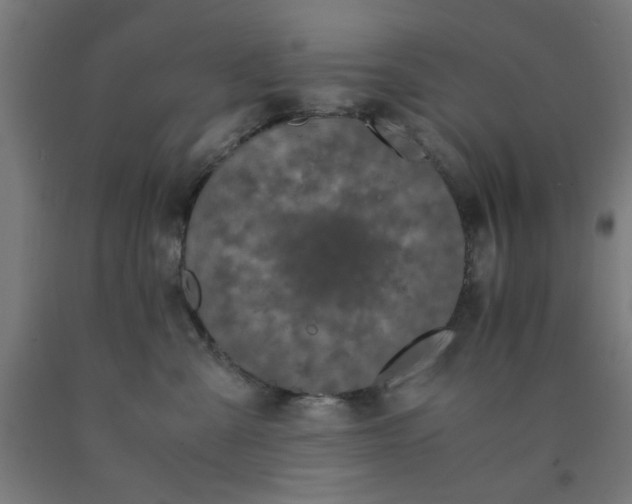 X0000090620427200707311248