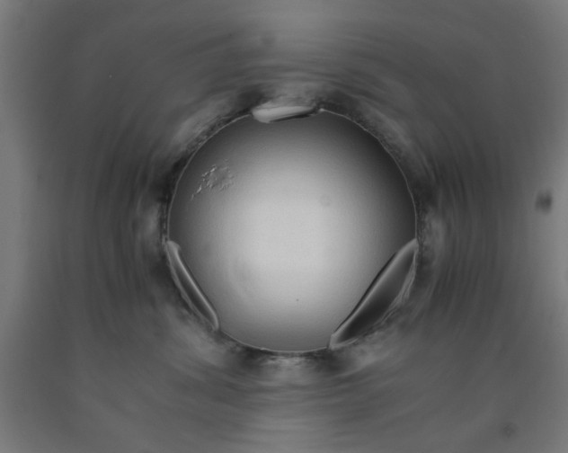 X0000090620428200707311248