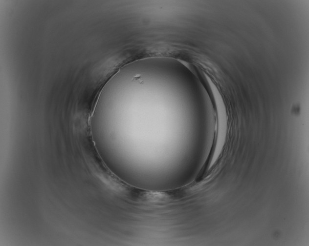 X0000090620429200707311248