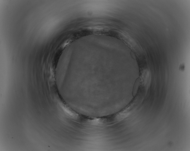 X0000090620430200707311248