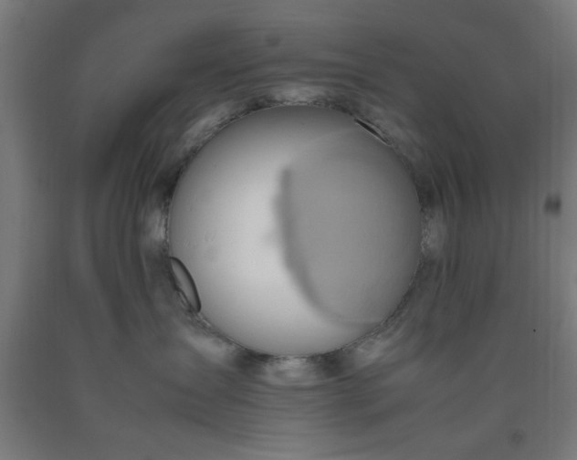 X0000090620431200707311248