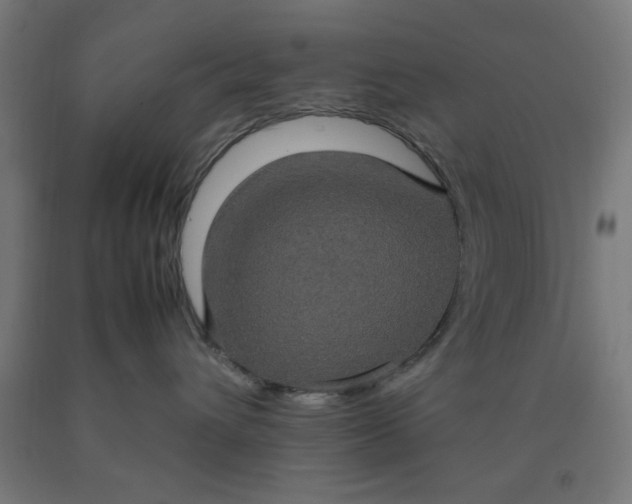 X0000090620432200707311248