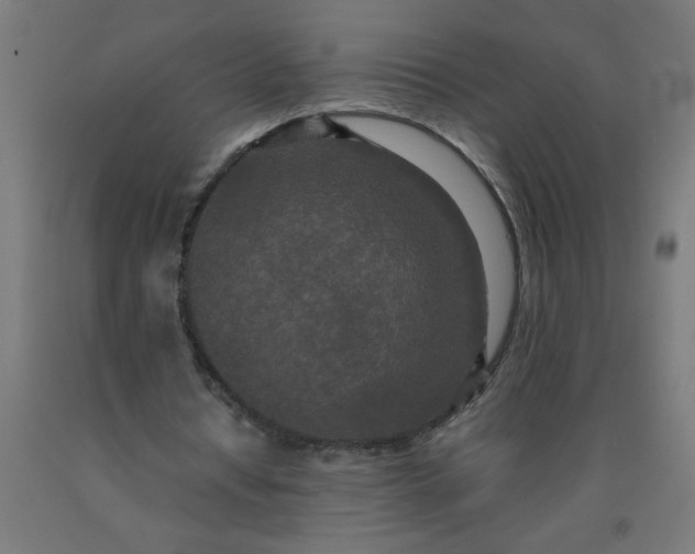 X0000090620434200707311247