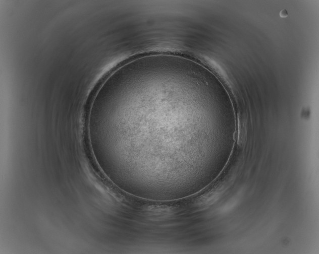 X0000090620435200707311247