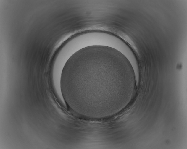 X0000090620436200707311247