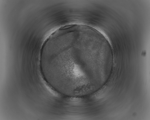 X0000090620437200707311247