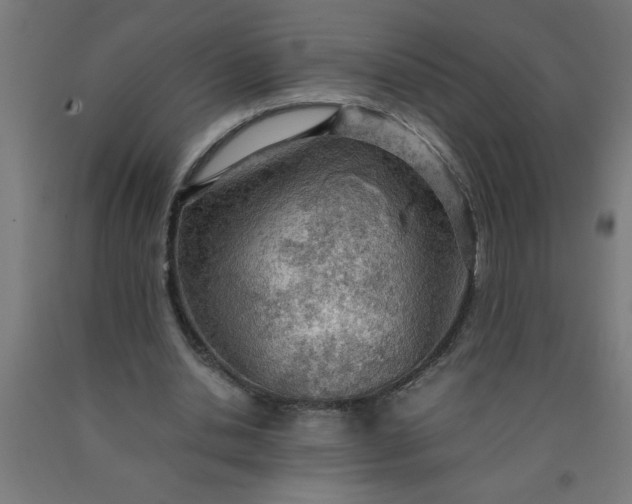 X0000090620438200707311247