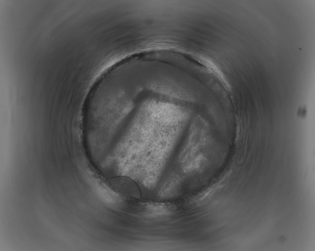 X0000090620439200707311247