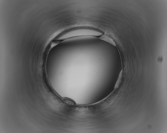 X0000090620440200707311247