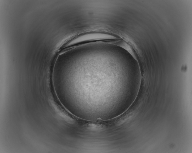 X0000090620442200707311247