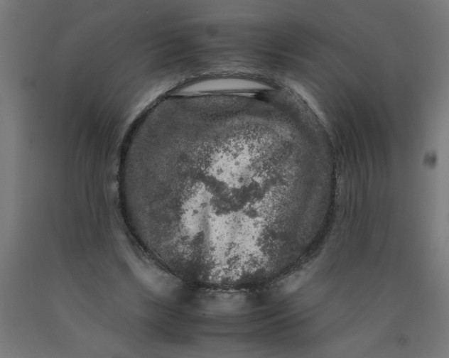 X0000090620443200707311247