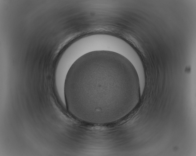 X0000090620444200707311247