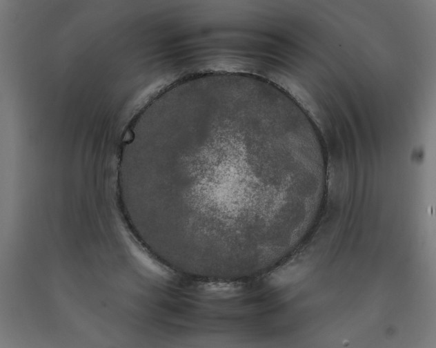 X0000090620445200707311247