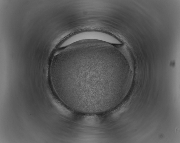 X0000090620446200707311247