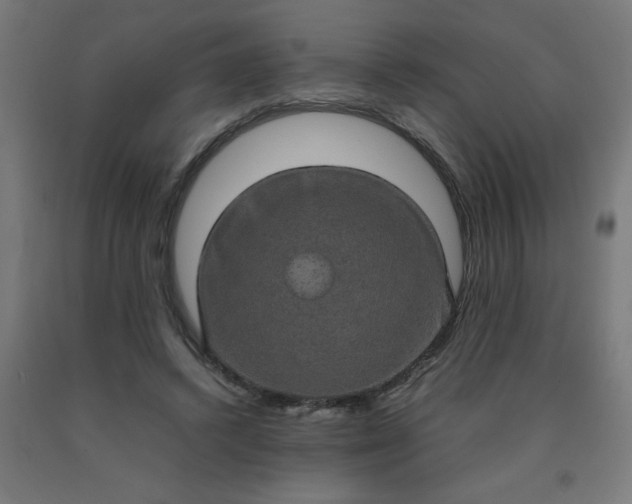 X0000090620448200707311247