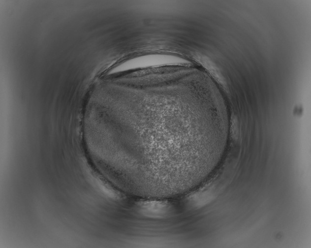 X0000090620449200707311247