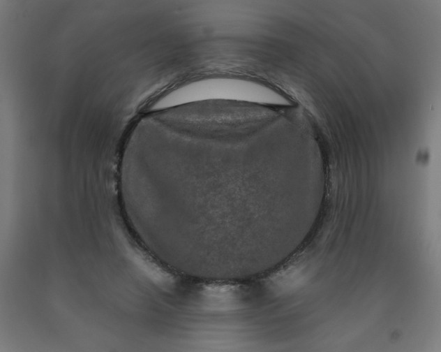 X0000090620450200707311247