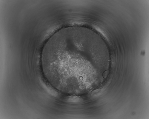 X0000090620451200707311247