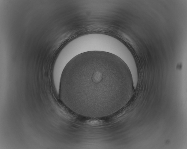 X0000090620452200707311247