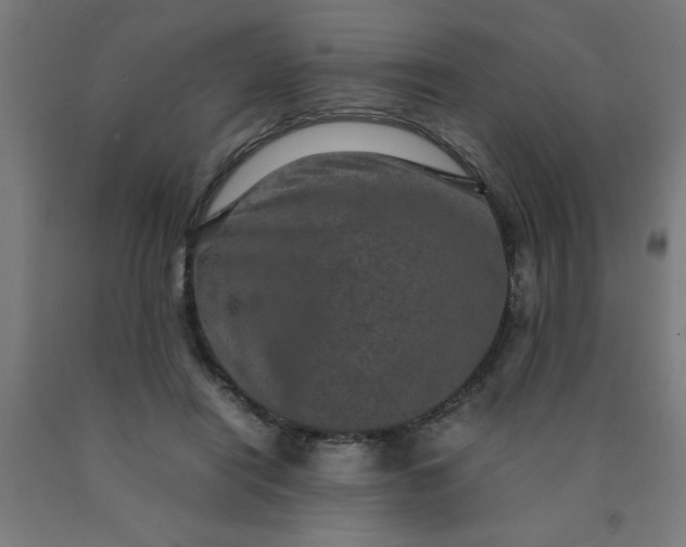 X0000090620454200707311247