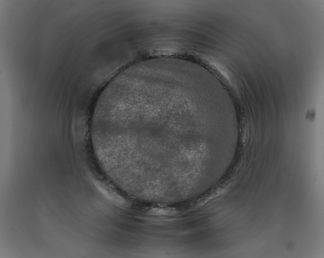 X0000090620455200707311247