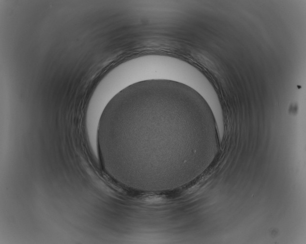 X0000090620456200707311247