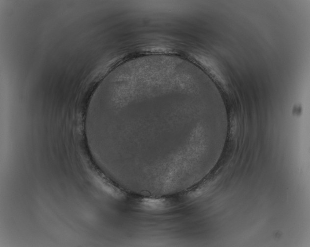 X0000090620457200707311247