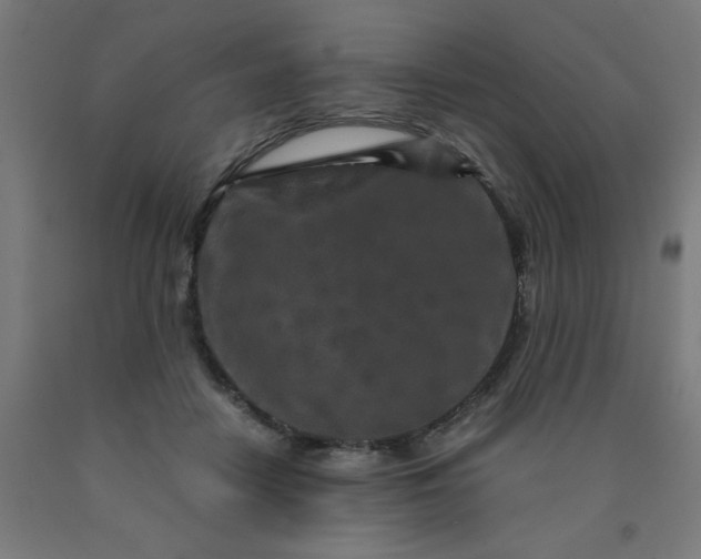 X0000090620458200707311247