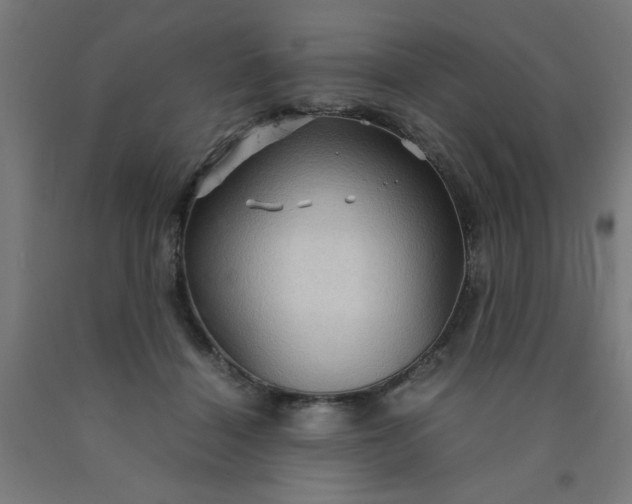 X0000090620460200707311247