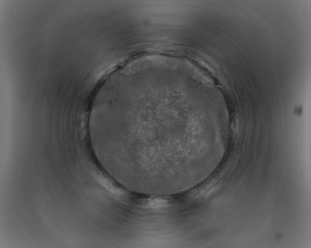 X0000090620462200707311247