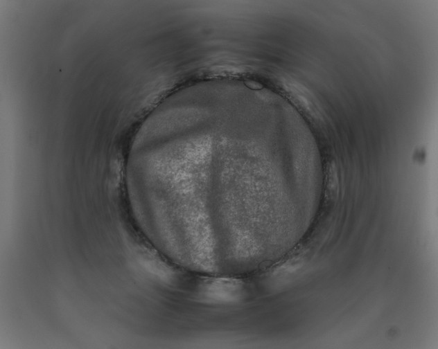 X0000090620463200707311247