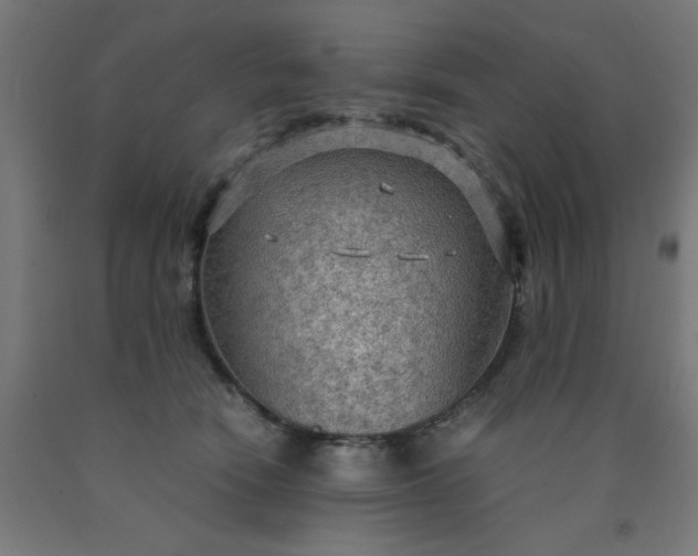 X0000090620466200707311247