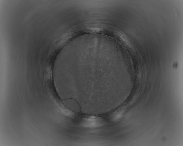 X0000090620467200707311247