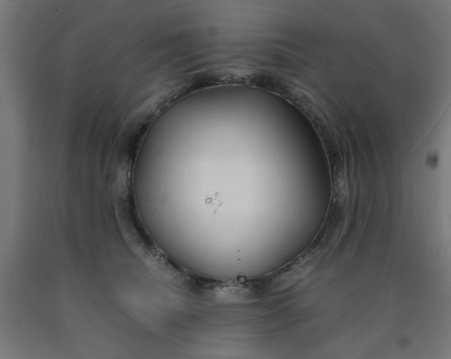 X0000090620468200707311247