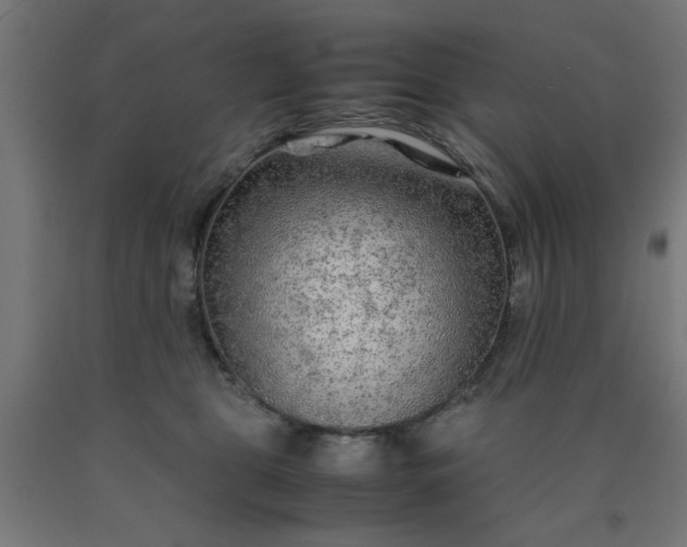 X0000090620469200707311247