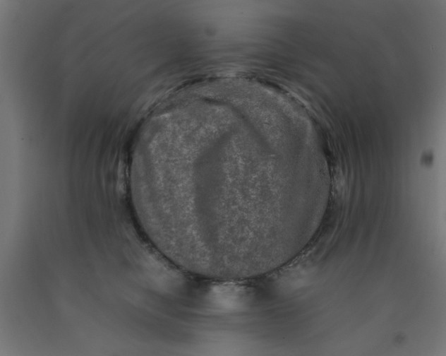 X0000090620470200707311247