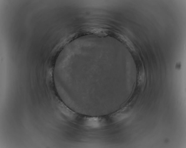 X0000090620473200707311248