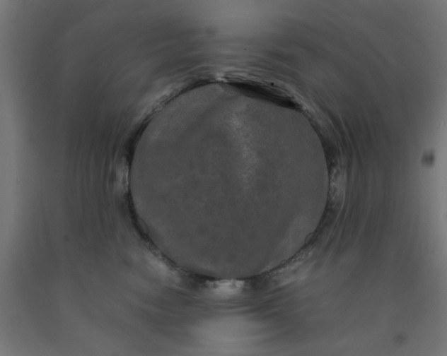 X0000090620474200707311248