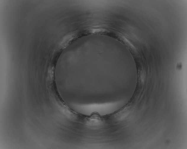 X0000090620475200707311248