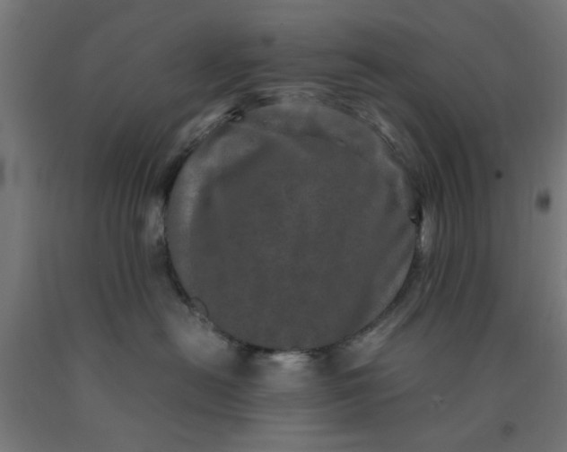 X0000090620478200707311248