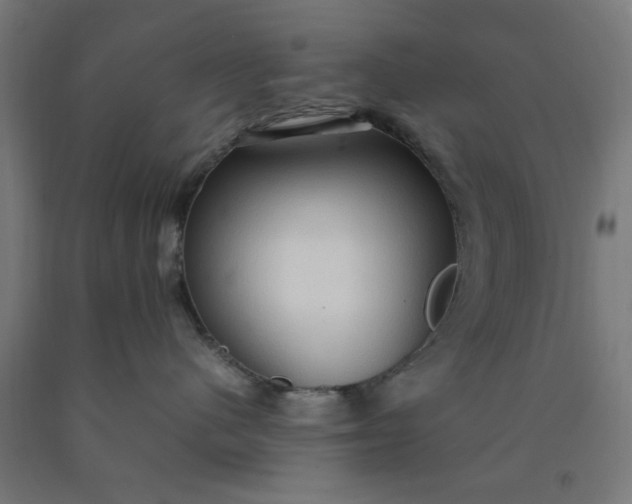 X0000090620480200707311248