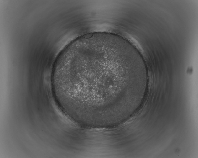 X0000090620482200707311247