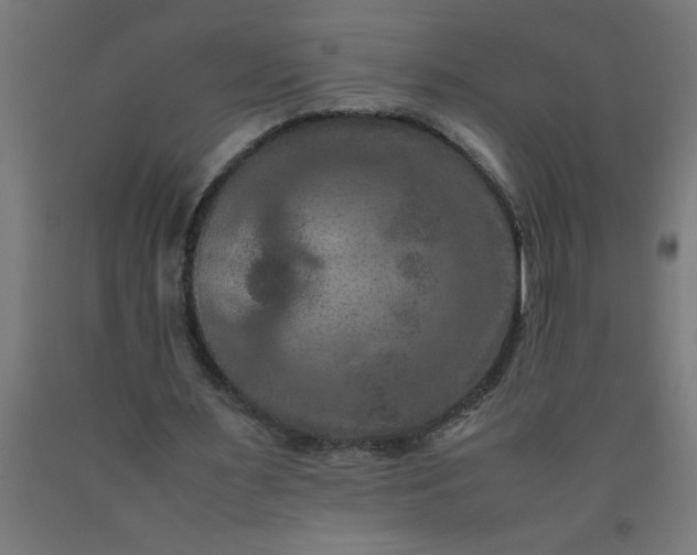 X0000090620483200707311247