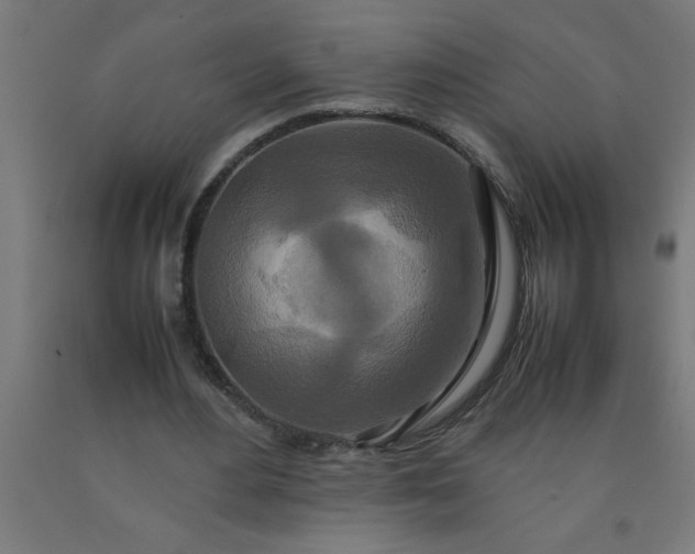 X0000090620484200707311247