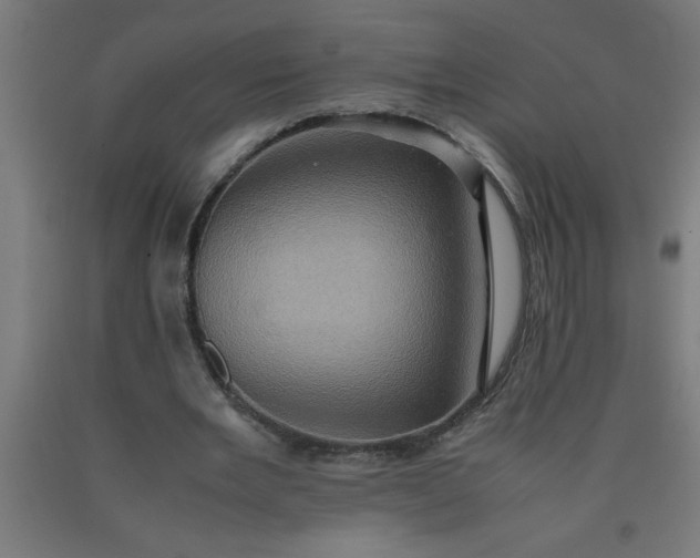 X0000090620485200707311247