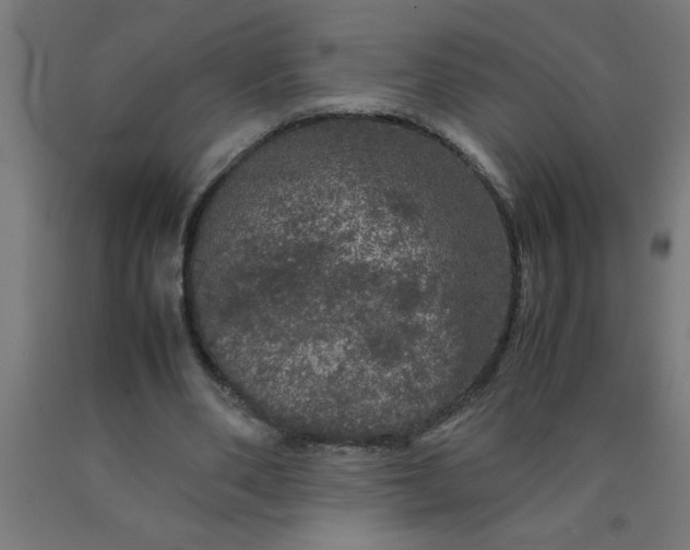 X0000090620486200707311247