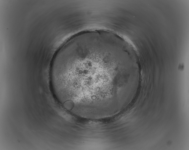 X0000090620487200707311247